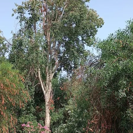 Appartement Molino De Pilas - Ecoturismo - Caminito Del Rey Teba