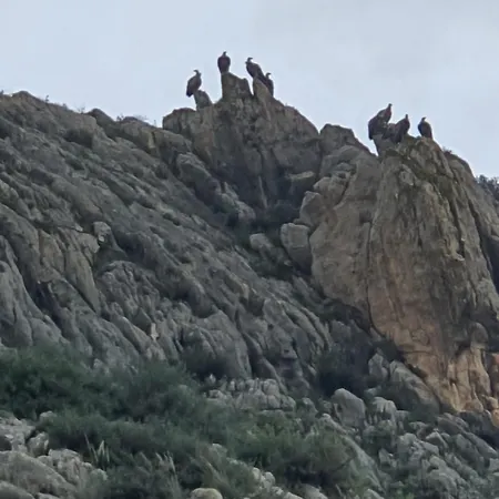 Molino De Pilas - Ecoturismo - Caminito Del Rey Appartement Teba